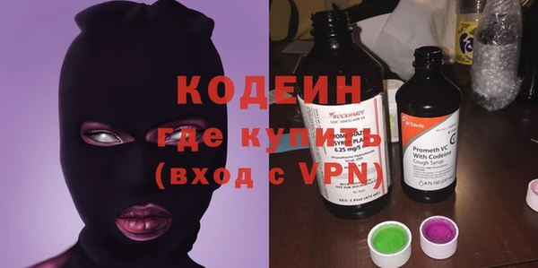 шишки Аркадак