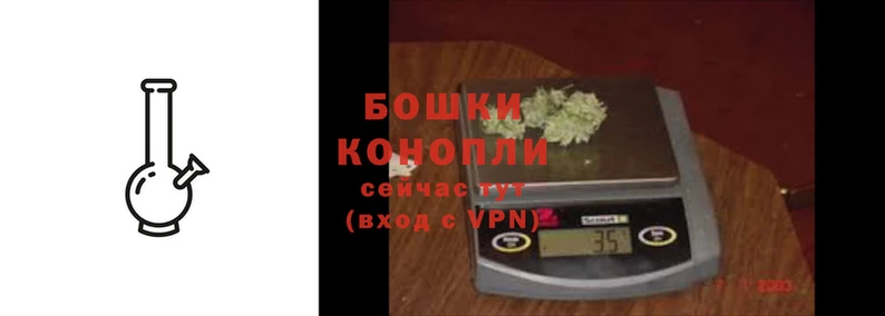 шишки Аркадак