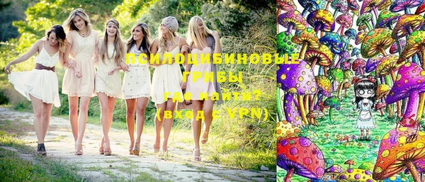 прущий лед Арсеньев