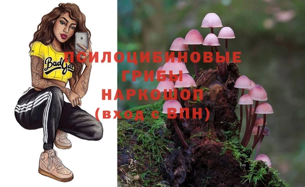 прущий лед Арсеньев