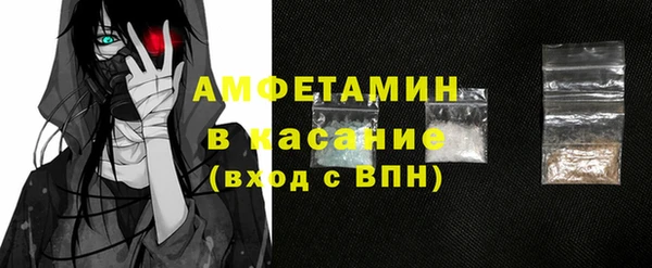 шишки Аркадак