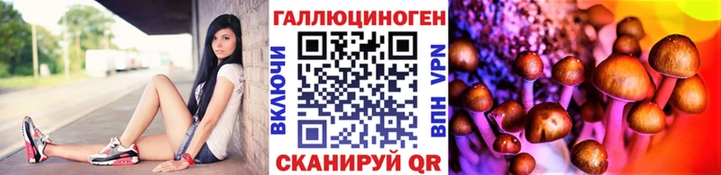 shop формула  Лесосибирск  Галлюциногенные грибы Magic Shrooms 